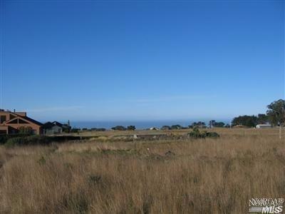 44580 Pomo Lake Drive - Photo 1