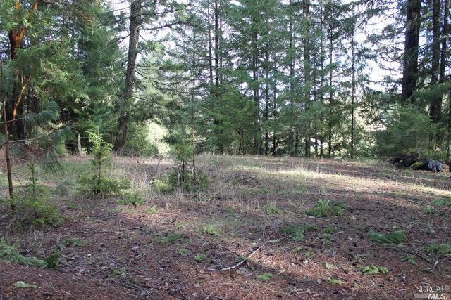 2760 Deer Place - Photo 1