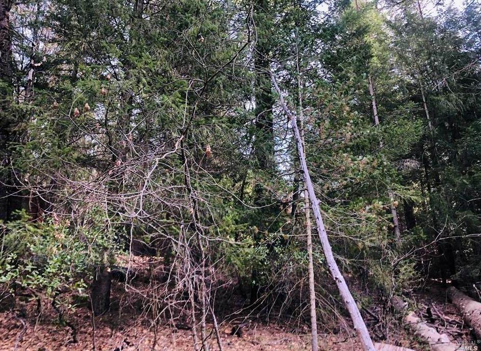 16360 Tee Road - Photo 1