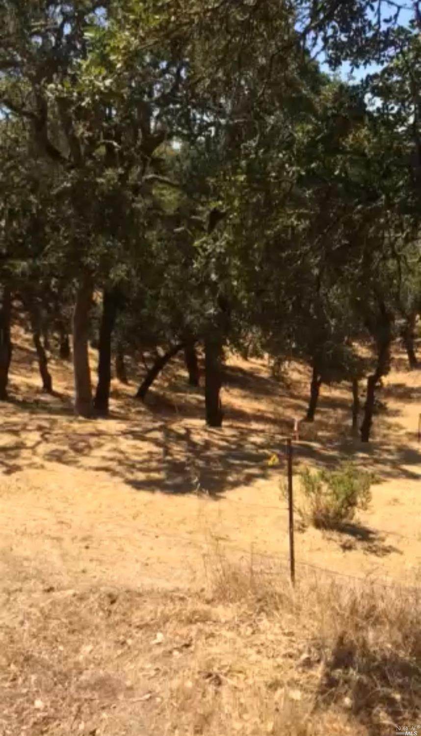 0 Crest Road - Photo 1