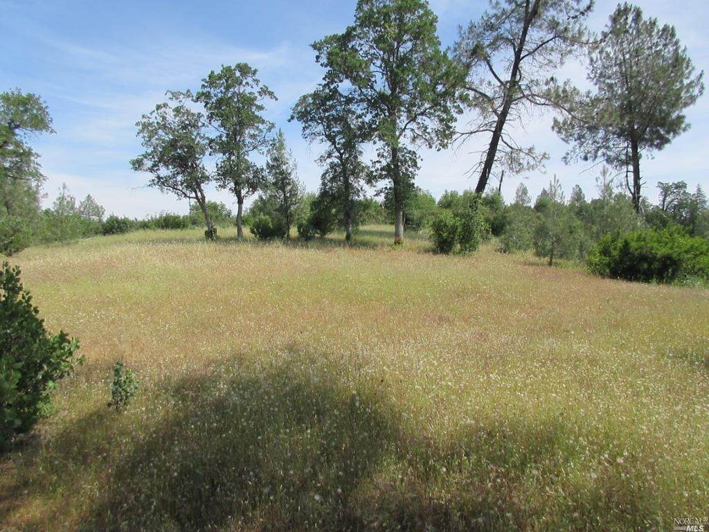 9 Acres Jones Valley Trail - Photo 1
