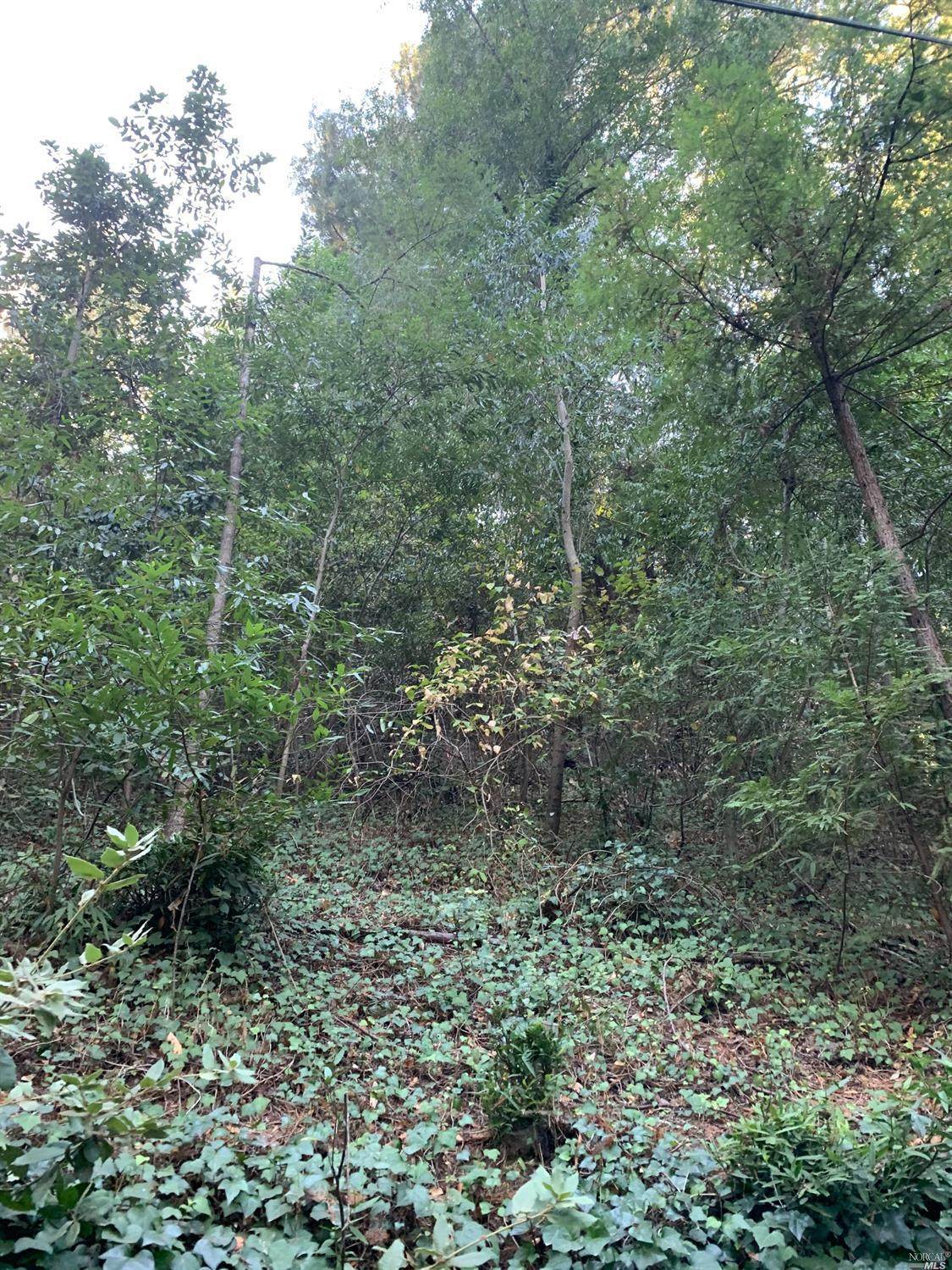 10390 Woodside Drive - Photo 1