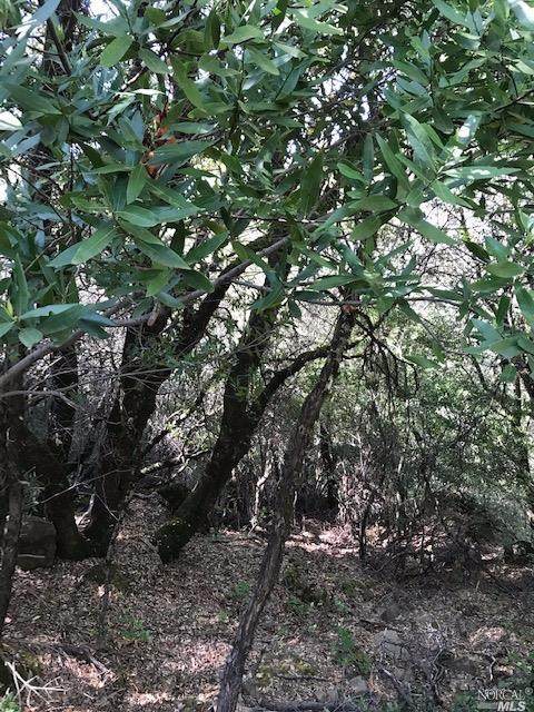 0 Blue Ridge Road - Photo 1