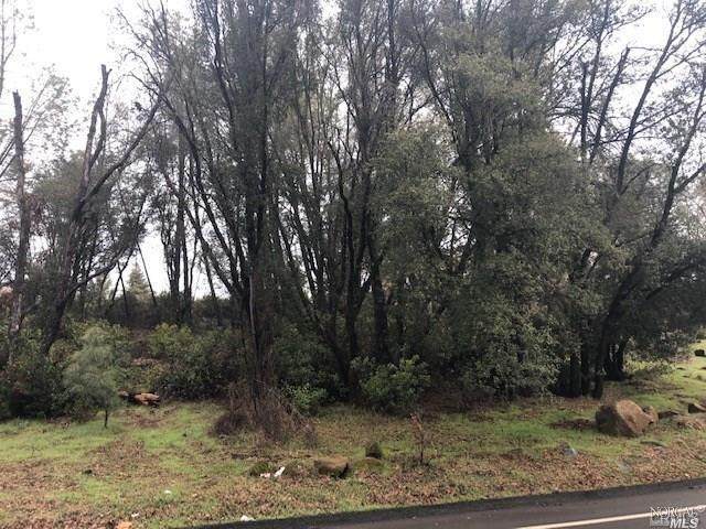 16040 Dam Road - Photo 1