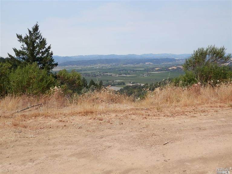 5145 Pine Flat Road - Photo 1