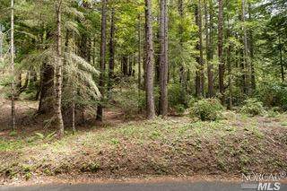 35199 Crows Nest Drive - Photo 1