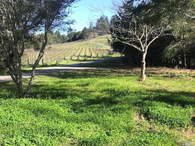 1 Bodega Highway - Photo 1