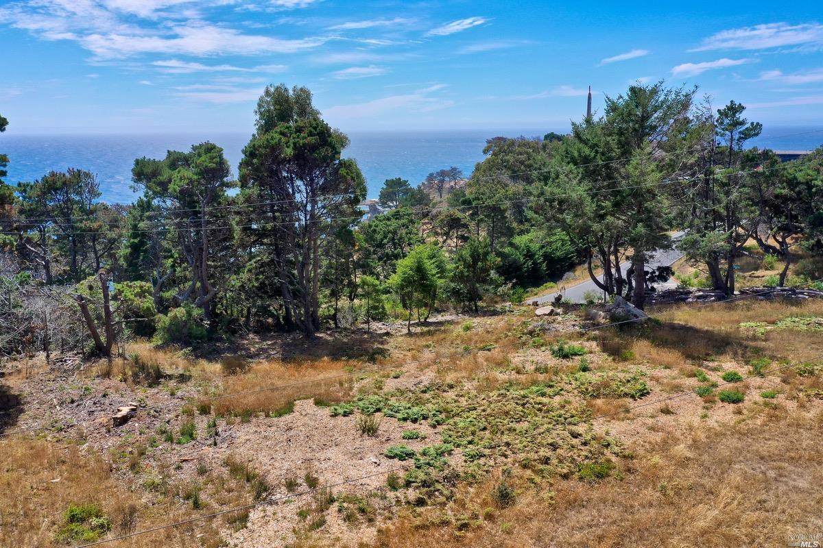 21950 Timber Cove Road - Photo 1