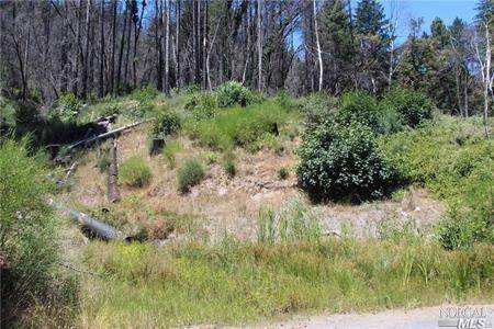 17435 Parnassus Road - Photo 1