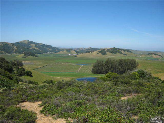 1003 Chileno Valley Road - Photo 1