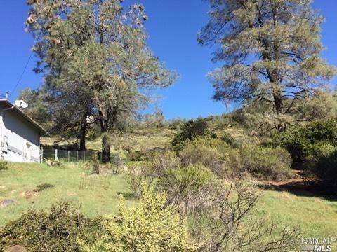 16300 Eagle Rock Road - Photo 1