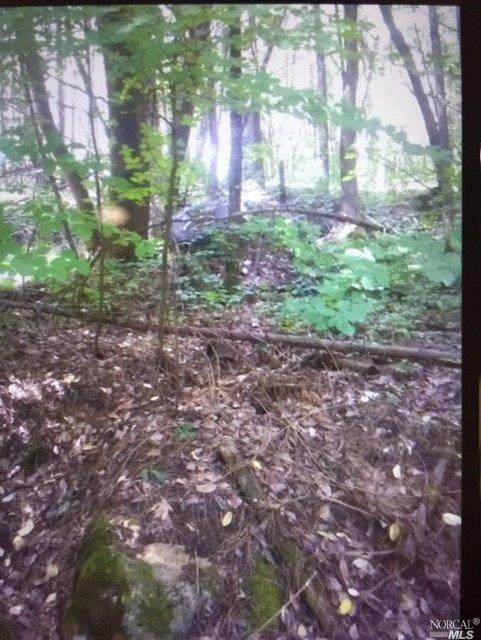 9525 Hannah North Drive - Photo 1