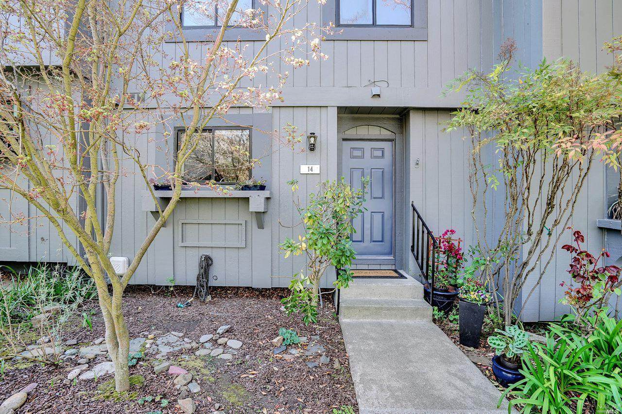 14 Aronia - Photo 1