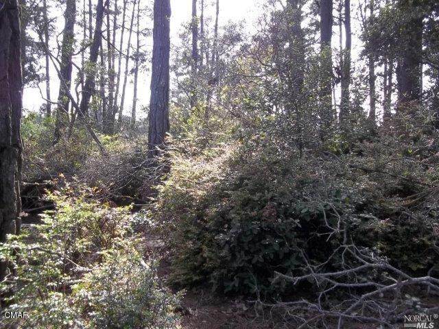 0 Georges Lane - Photo 1