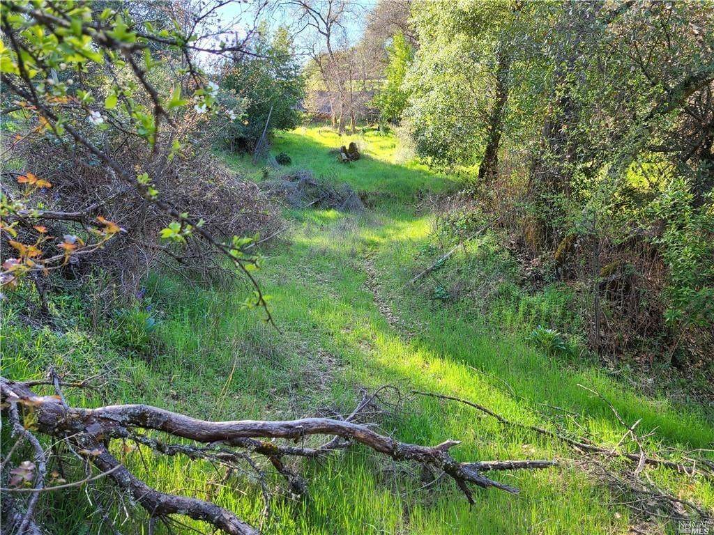 7062 Marin Street - Photo 1