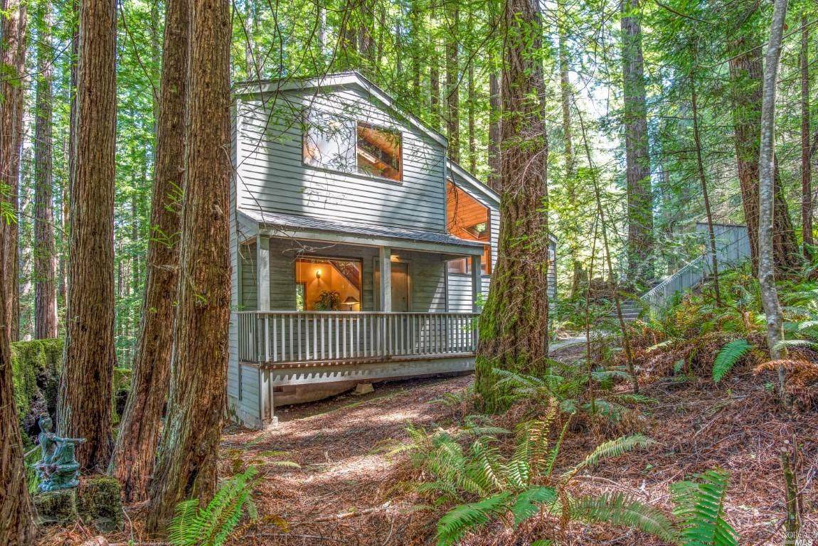 36497 Deep Woods Drive - Photo 1