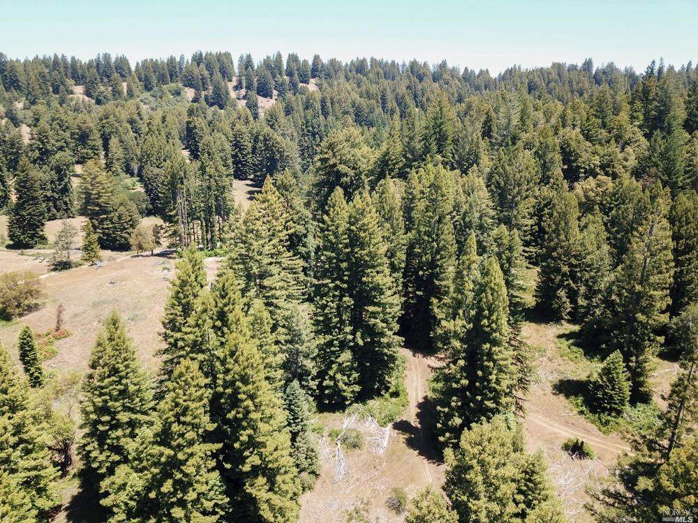 3611 Flynn Creek Road - Photo 1