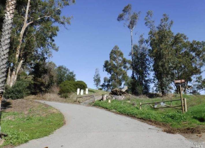 2 Madrone - Photo 1