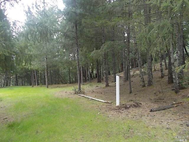 1190 Maize Way - Photo 1