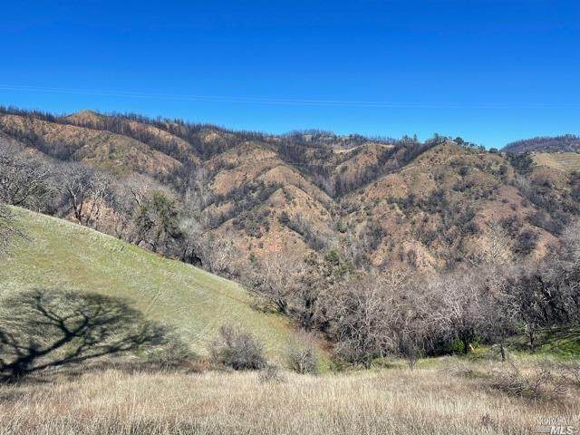 2000 Los Alamos Road - Photo 1