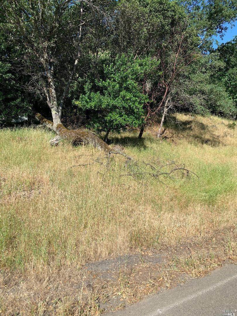 0 Circle Oaks - Photo 1
