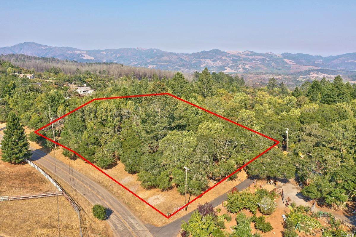 2803 Bardy Road - Photo 1