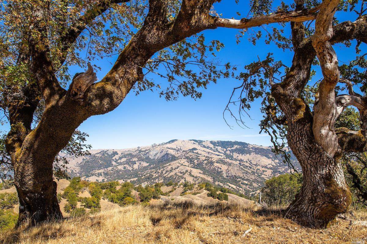 7741 Simmerly Ranch Road - Photo 1
