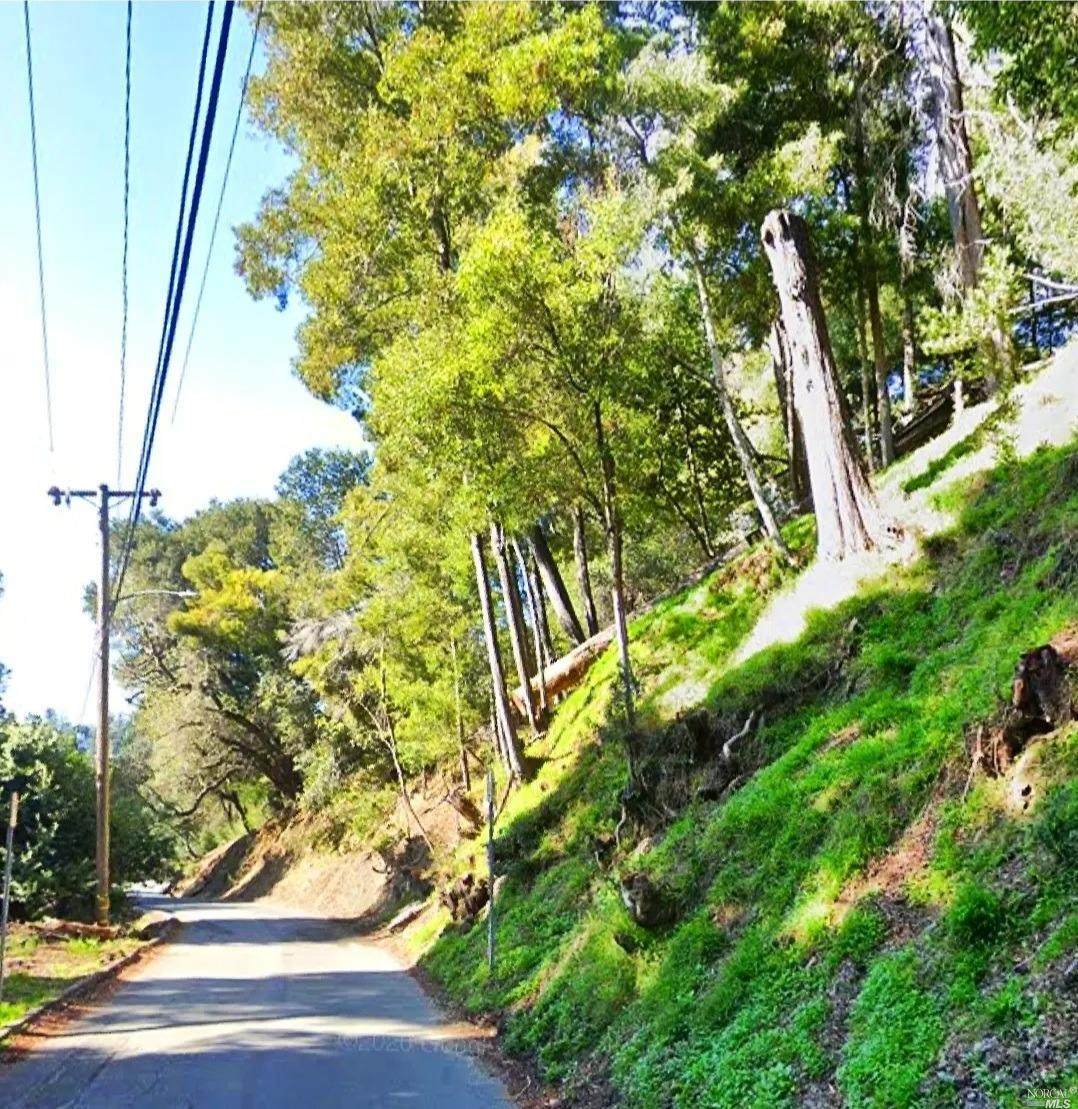 0 Scout Road - Photo 1