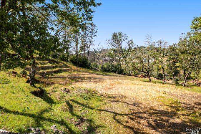 4008 Split Rail Court - Photo 1