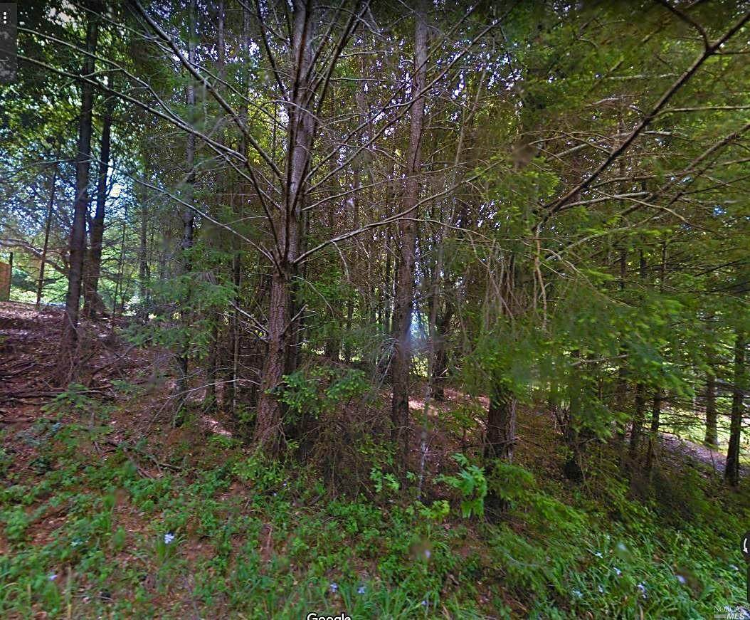 66 Cougar Road - Photo 1