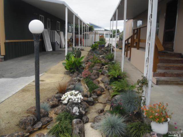 244 American Canyon Road - Photo 1