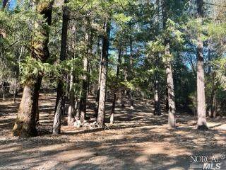 29757 Greenhill Road - Photo 1