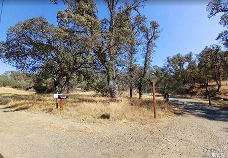 23523 Morgan Valley Road - Photo 1