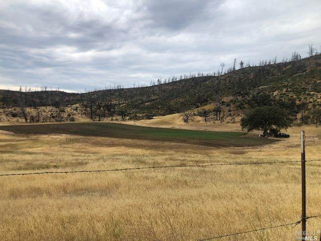 25372 Jerusalem Grade Road - Photo 1
