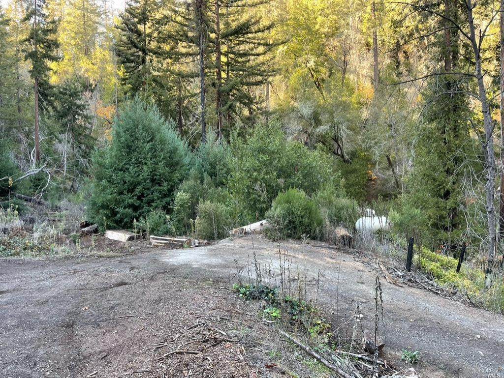 4640 Redwood Road - Photo 1