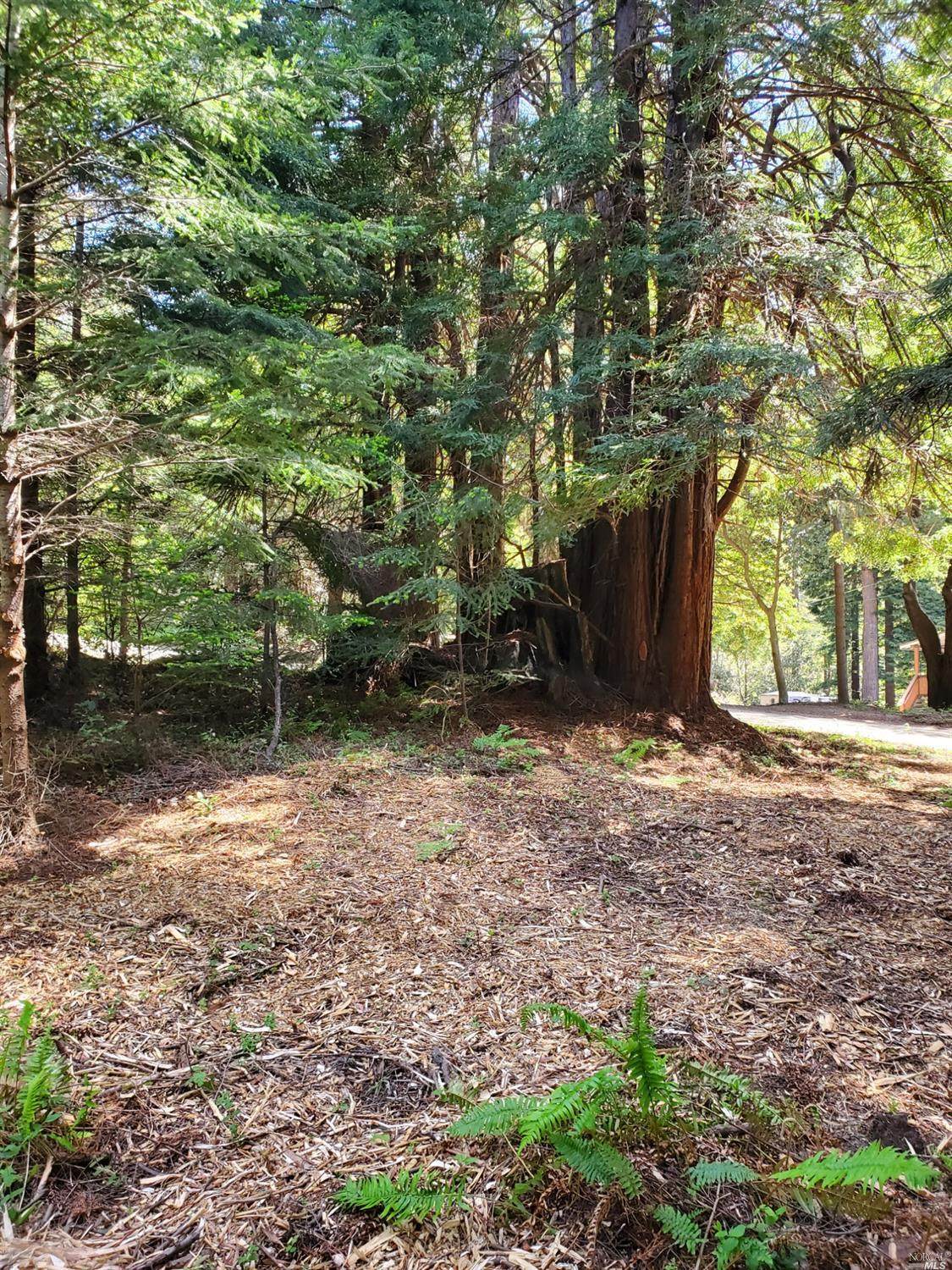 46750 Schooner Gulch Road - Photo 1