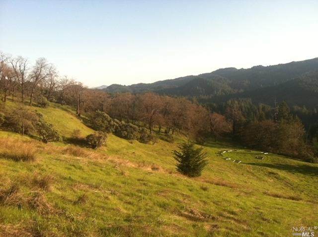 10970 Long Ridge Road - Photo 1
