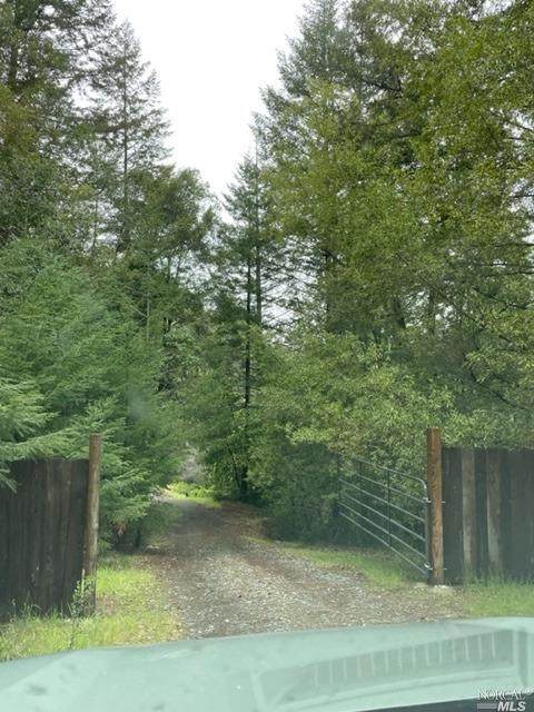 54250 Wildwood Drive - Photo 1