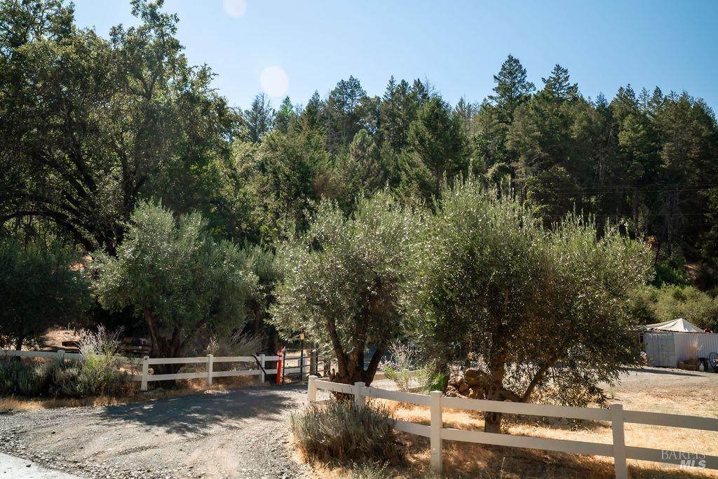 0 Mount Veeder Road - Photo 1