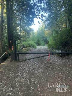 8555 Signal Ridge Road - Photo 1