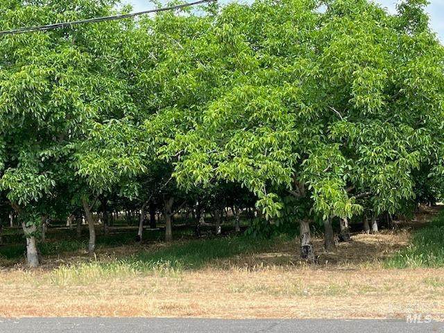 0 Winters Road - Photo 1