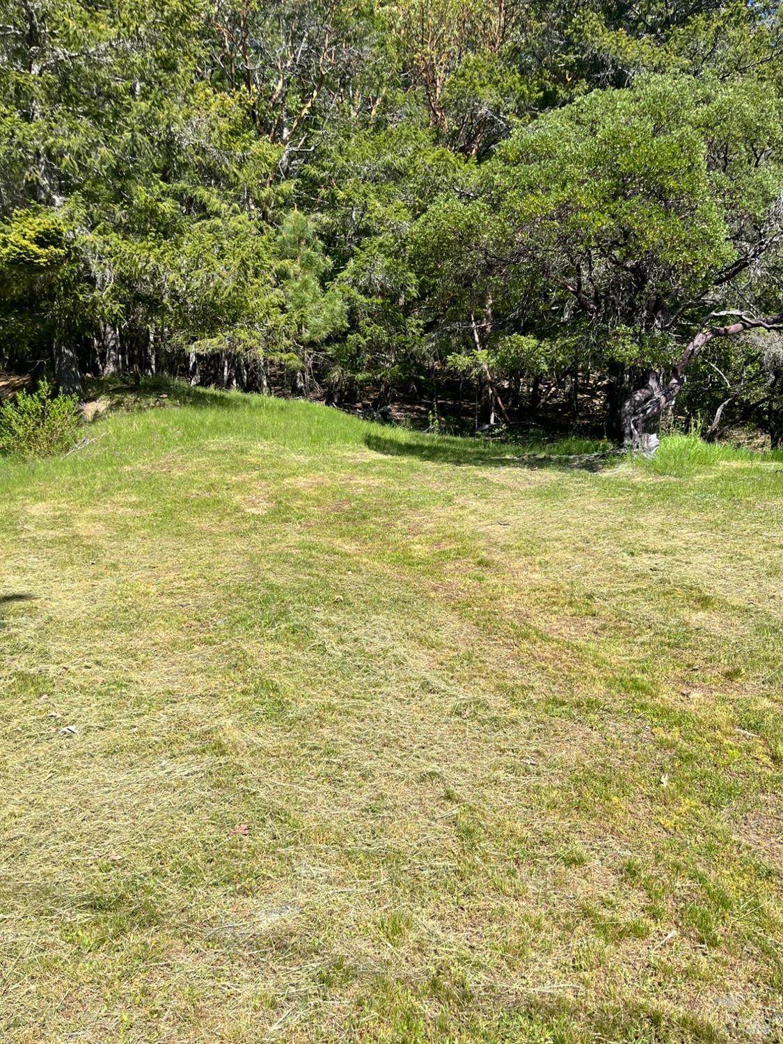 1811 Crawford Drive - Photo 1