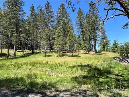 15625 Bottle Rock Road - Photo 1