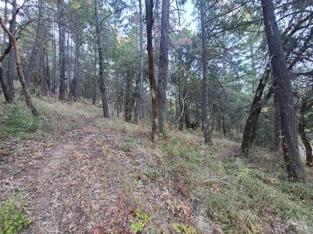 28990 Eel River Ranch Road - Photo 1