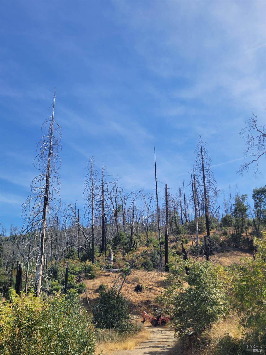 6990 Pine Road - Photo 1