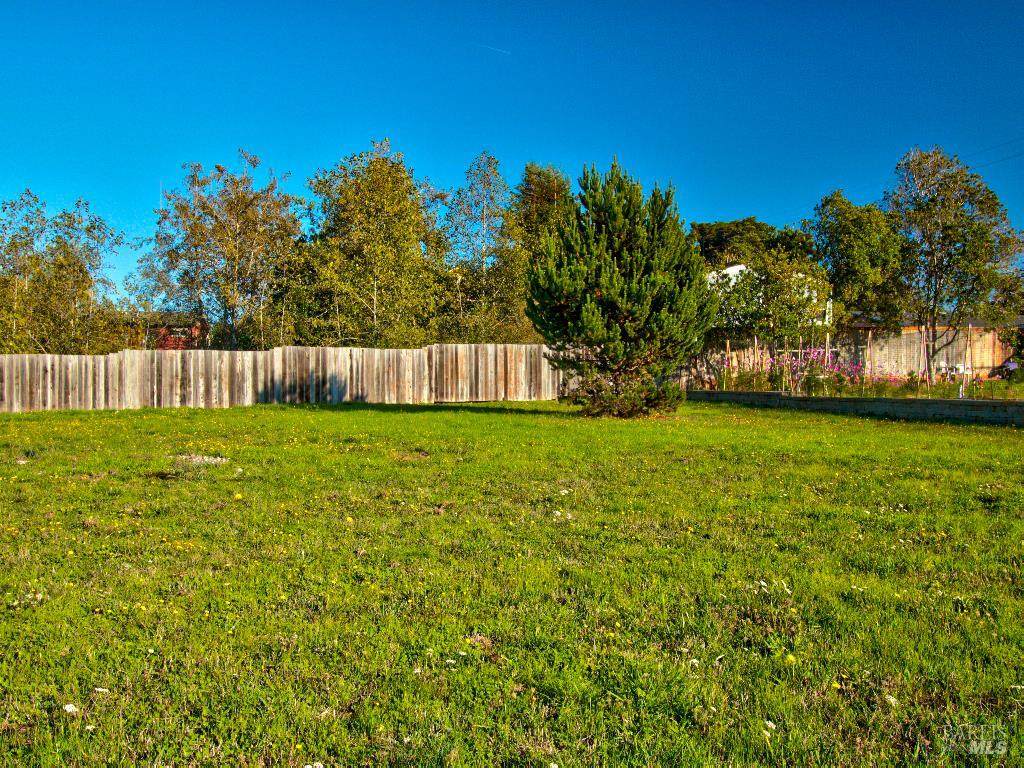 102 Dana Street - Photo 1