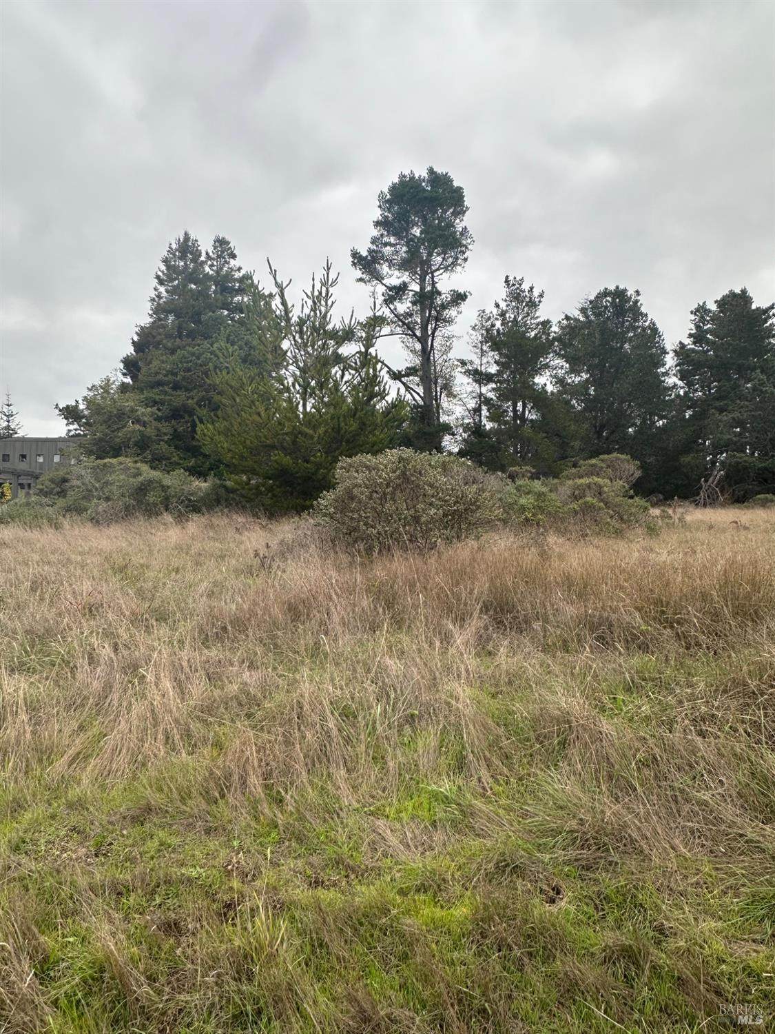 35604 Timber Ridge Road - Photo 1