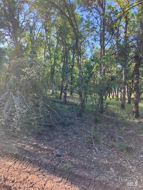 16053 13th Avenue - Photo 1