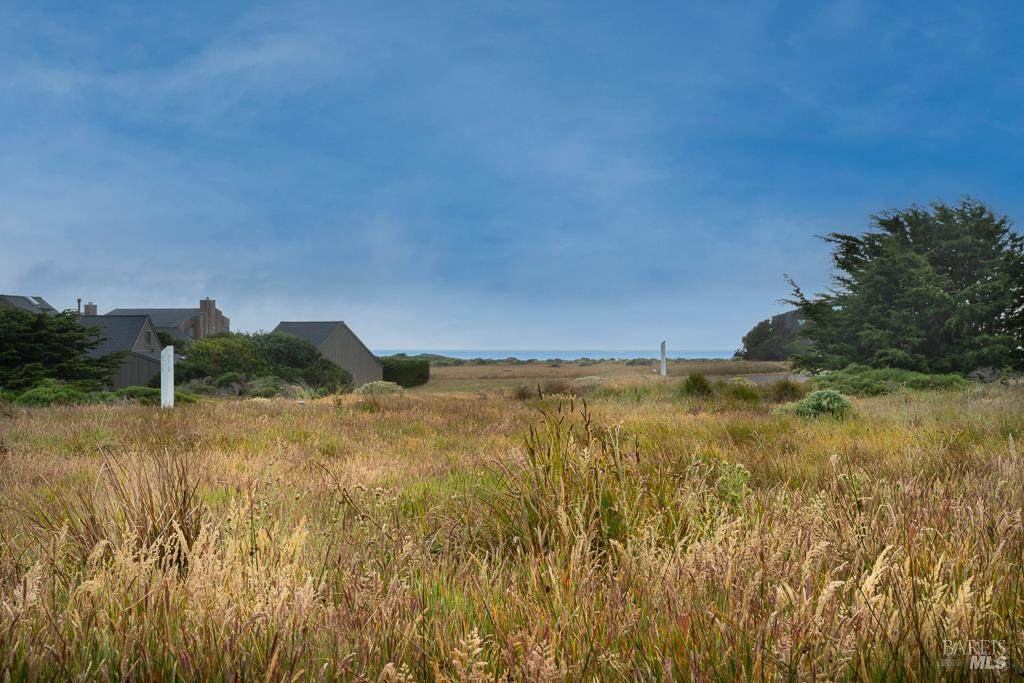 42080 Rock Cod - Photo 1