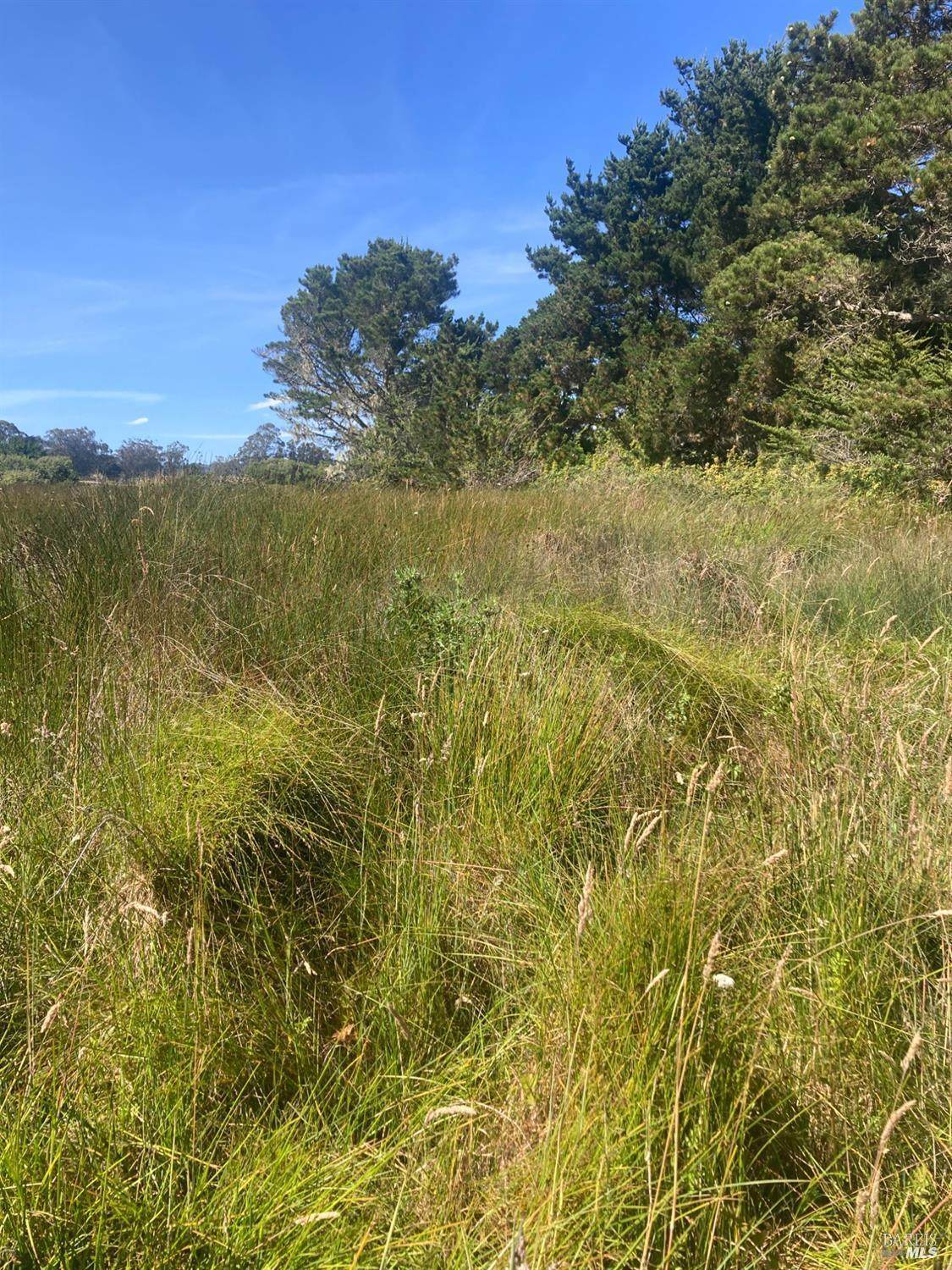 0 Juniper Road - Photo 1